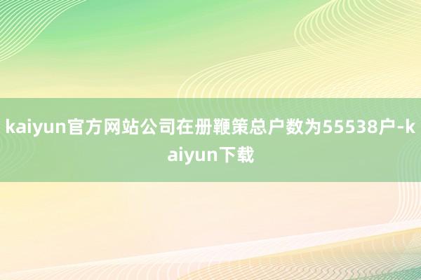 kaiyun官方网站公司在册鞭策总户数为55538户-kaiyun下载