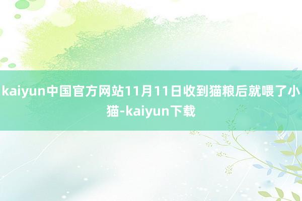 kaiyun中国官方网站11月11日收到猫粮后就喂了小猫-kaiyun下载