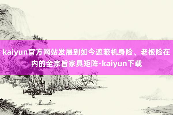 kaiyun官方网站发展到如今遮蔽机身险、老板险在内的全宗旨家具矩阵-kaiyun下载